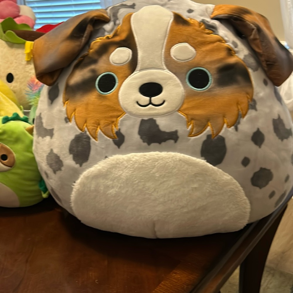 Raylor Australian Shepherd Squishmallows
